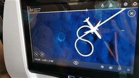 星宇航空,偽出國,(圖/星宇航空提供)