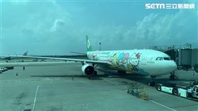  長榮偽出國班機,三麗鷗彩繪機,（圖／記者陳宜加攝影）