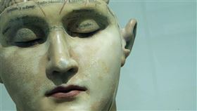 日本科學家在老鼠身上發現被稱為Q神經的睡眠開關，只要經過強烈刺激，老鼠身體就會變冷進入類似冬眠狀態，未來如果能讓人類成功冬眠，有機會廣泛應用在醫學及太空旅行方面。（示意圖／翻攝自Unsplash）