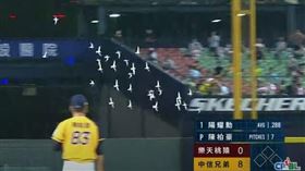 中華職棒出現鳥群低空亂入。（圖／翻攝自中華職棒YouTube）