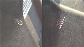 大頭針,機車,蟲卵,種子,草蛉,婆羅花