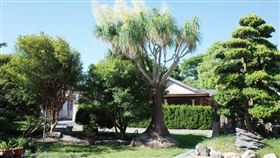 名家專用／台灣旅行趣（勿用）