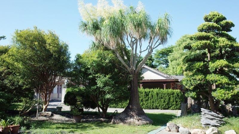 田尾獨特休閒農園　親子紓壓好據點