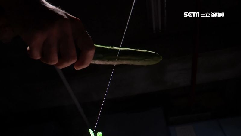 風箏線如利刃　切香蕉、黃瓜斷2截