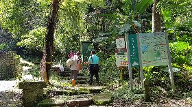 水社大山步道遭指倒木髒亂  日管處：