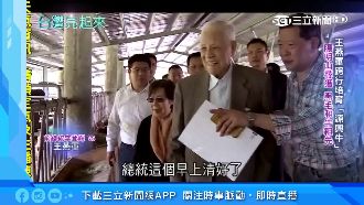 阿輝伯一圓台灣肉牛夢　關鍵在陽明山