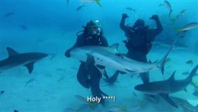 ▲泰森跟鯊魚接觸。（圖／翻攝自推特）