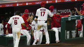 ▲大谷翔平敲出追平2分砲。（圖／美聯社／達志影像）