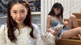 半藏森林（圖／翻攝自微博）