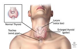 萬芳醫院提供 記者柯智翔攝影