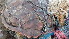 花蓮豐濱發現死亡綠蠵龜　遭漁網纏繞（2）花蓮縣豐濱鄉磯崎海邊11日有民眾發現一隻遭漁網纏繞的死亡綠蠵龜。第一二岸巡隊副隊長楊仕逢指出，近年海龜遭漁網纏繞致死或受傷情形頻傳，呼籲民眾勿隨意在海上或岸際丟棄廢棄物，破壞海洋生態環境。（第一二岸巡隊提供）中央社記者李先鳳傳真　109年8月11日