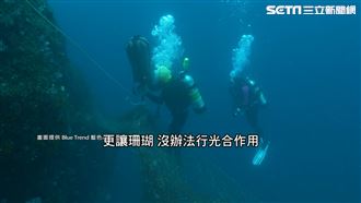 漁網覆蓋珊瑚礁　潛水員淨海嘆清不完