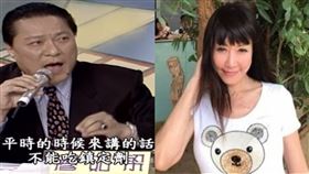  羅霈穎。（圖／翻攝自臉書、台視YouTube）