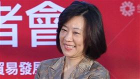 經濟部12日宣布，原國際貿易局長陳正祺接任經濟部政次後，局長一職將由現任經濟部國合處處長江文若（圖）陞任。（中央社檔案照片）