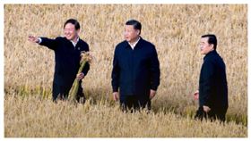 中國現糧食危機！小麥產量減近千萬噸　習近平急壞下令節約，圖／人民日報微博