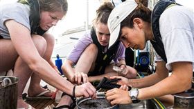 名家專用／草根影響力新視野（勿用）