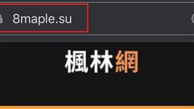 楓林網　山寨楓林網　邪惡之花（圖／翻攝畫面）