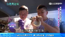 文 取締連環撞1200