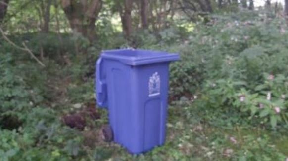 女老師獨闖樹林　慘變「2包垃圾袋」