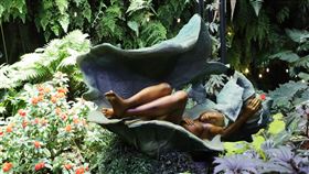 李光裕銅雕作品進駐新加坡濱海灣花園台灣雕塑家李光裕銅雕作品首度赴新加坡濱海灣花園雲霧林展出，16件銅雕藝術與雲霧林內的天然景觀融為一體，圖為李光裕的作品「無逝歲月」。中央社記者黃自強新加坡攝　109年8月13日