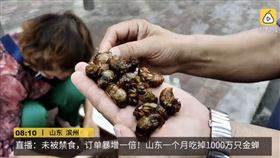 中國,金蟬,唐僧肉,野食