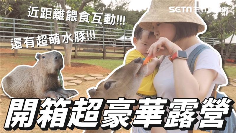 梅花鹿欺善怕惡？！近距離互動被嚇壞