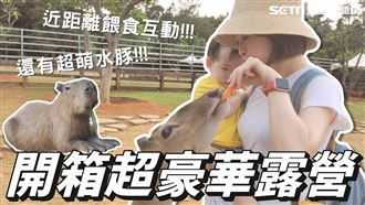 梅花鹿欺善怕惡？！近距離互動被嚇壞