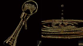 第31屆金曲獎/台視提供