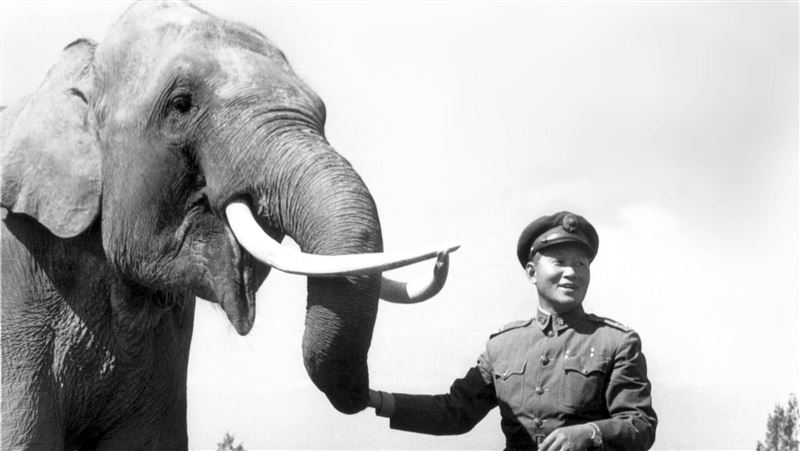 老照片故事／73年前林旺叫「阿妹」