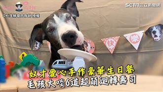 奴才手作生日餐　毛孩嗑6道迴轉壽司