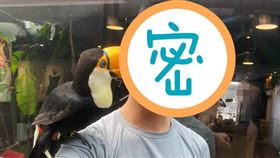  動物餐廳大嘴鳥1舉他崩潰　網卻羨翻（圖／翻攝自爆怨公社臉書）
