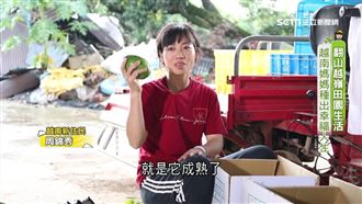 越南媽媽幸福人生 酪梨檸檬田園生活