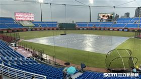 桃園球場因雨延賽。（圖／記者王怡翔攝影）