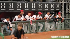 ▲樂天桃猿球員賽前在板凳區交談。（圖／記者劉彥池攝影）