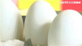 鵝蛋,韓國瑜,高雄,茶葉蛋,懷孕