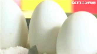 鵝蛋比雞蛋「大3倍」　鵝肉效益較高