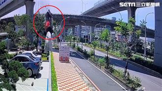 墜20米畫面曝！一陣煙…水泥車消失