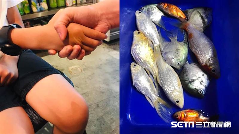 看新聞發現兒害死整缸魚　結局被讚爆