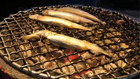 燒烤,柳葉魚,沾黏,方法（圖／翻攝自PTT）