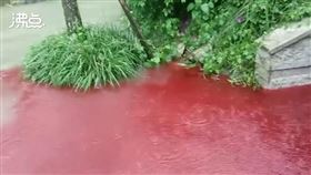 四川出現紅色積水（圖／翻攝自沸點視頻）