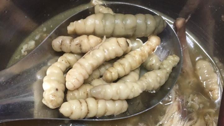 雞湯裡藏蠶寶寶不敢入口　網揭真相