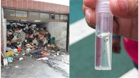 桃園,垃圾,積水容器,孑孓,衛生局（圖／翻攝桃園市市議員黃婉如臉書）