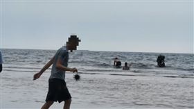 小琉球,海膽,外籍,石頭,敲死（圖／翻攝自臉書《小琉球聯盟》）