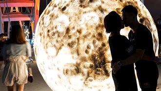 單身狗必看！「七夕」當天告白脫單