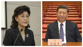 蔡霞，習近平。（組合圖／資料照）