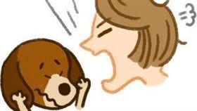 名家專用／毛起來MAOUP（勿用）