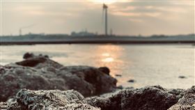 大潭藻礁研究登國際期刊由中央研究院生物多樣性研究中心研究員陳昭倫帶領的研究團隊，將研究資料投稿至國際學術期刊，6月29日以「族群普查確認台灣大潭藻礁產瀕危柴山多杯孔珊瑚為一穩定群族」為題，刊登於「科學報告」（Scientific Reports）；更顯大潭藻礁的重要性。（搶救大潭藻礁行動聯盟提供）中央社記者張雄風傳真  109年7月23日