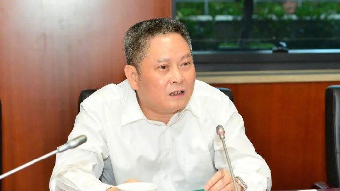 涉嚴重違法違紀　上海副市長遭審查