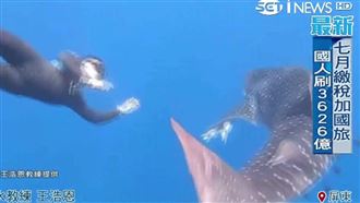 墾丁海域驚見鯊魚　潛水教練又驚又喜