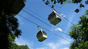 貓空纜車優惠又來了。（圖／台北捷運提供）
